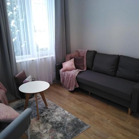 Apartament Joanna ซาน็อค ภายนอก รูปภาพ