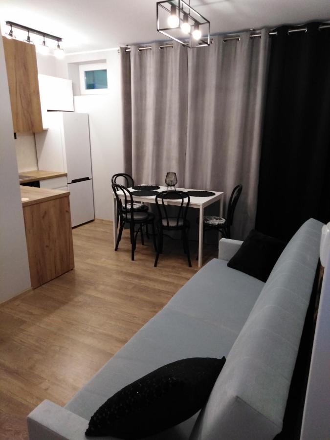 Apartament Joanna ซาน็อค ภายนอก รูปภาพ